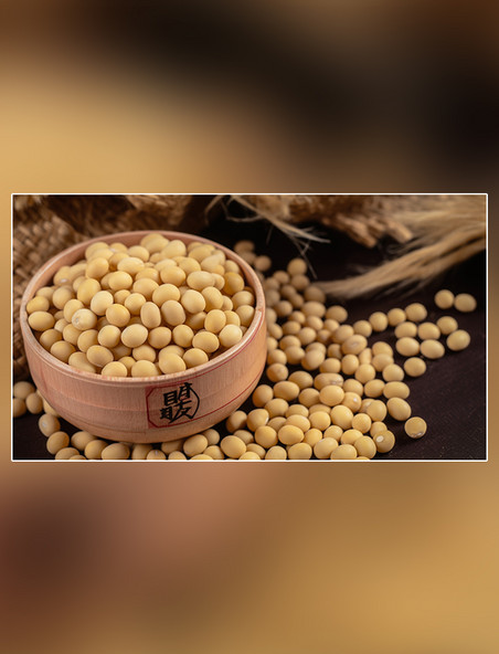 农作物黄豆谷物大豆粮食摄影图超级清晰高细节食物