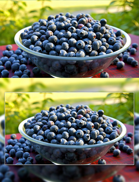 餐饮食材营养蓝莓果水果