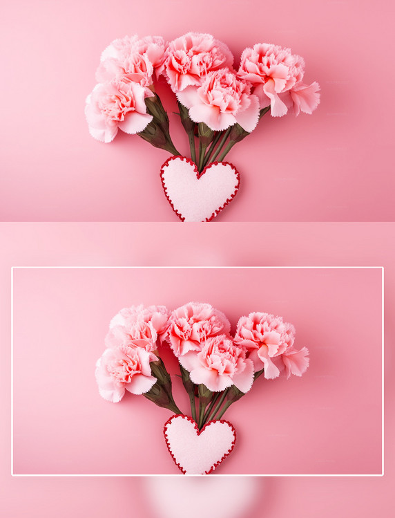 粉色康乃馨花朵爱心摄影