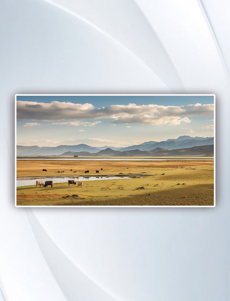 西藏草原牛羊蓝天风景摄影图