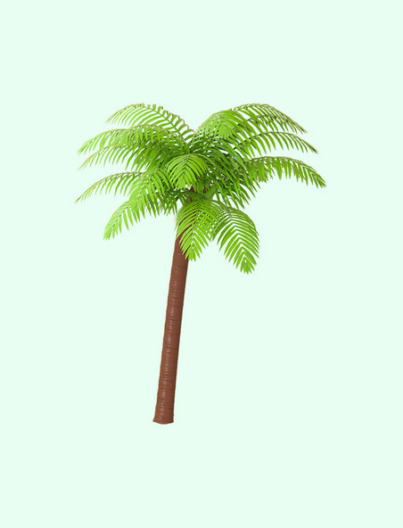 夏天夏季椰子树椰树
