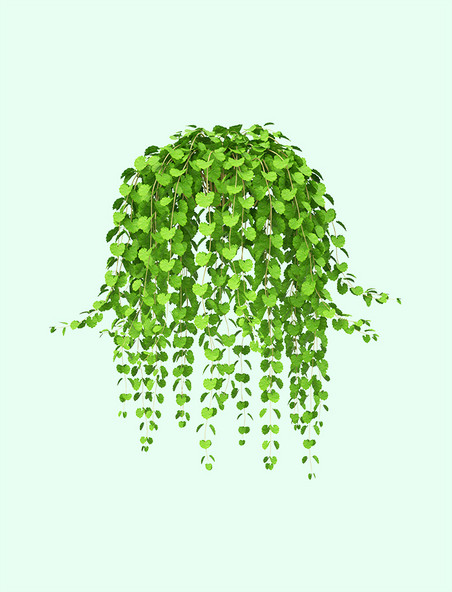 3D藤蔓植物绿植