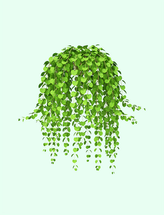 3D藤蔓植物绿植