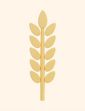 3D立体金黄色秋季农作物麦穗
