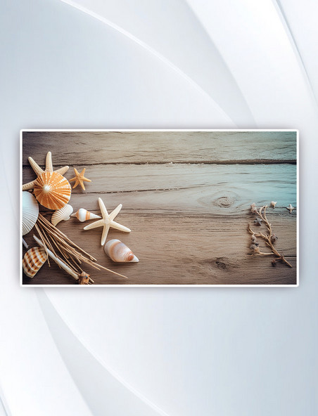 海滩上插着海星贝壳的天然木制框架