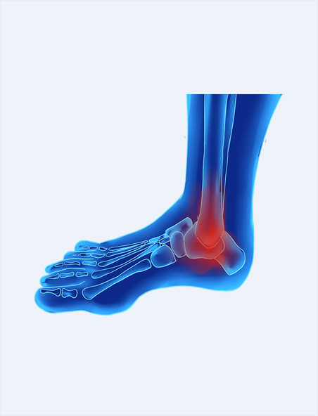 医疗脚趾脚踝科技人体
