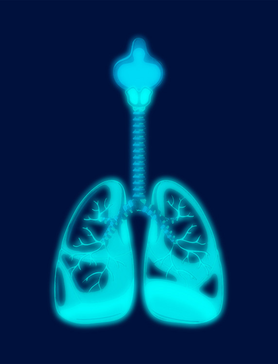 科技风蓝色人体器肺部