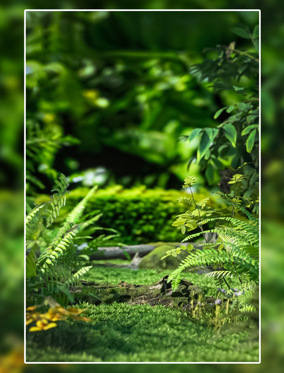 c4d立体绿色植物3d自然场景