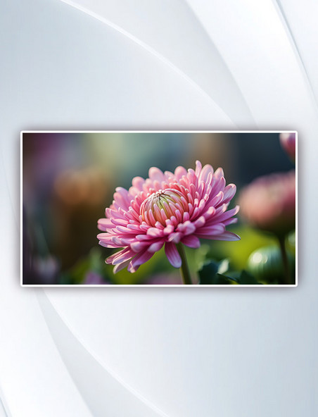 倾斜移位镜头中的粉色花朵摄影图