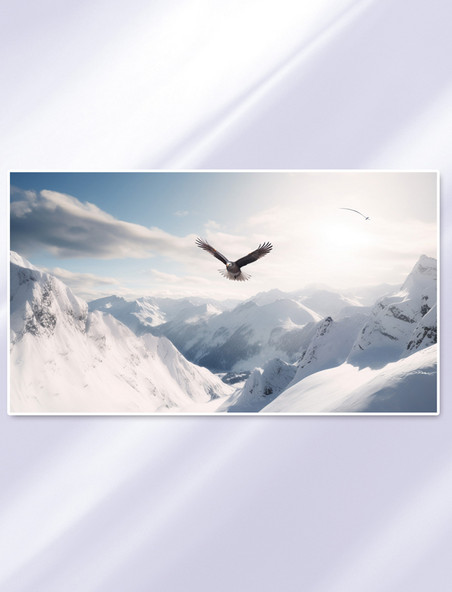 白天飞过白雪覆盖的山脉的老鹰自然风景