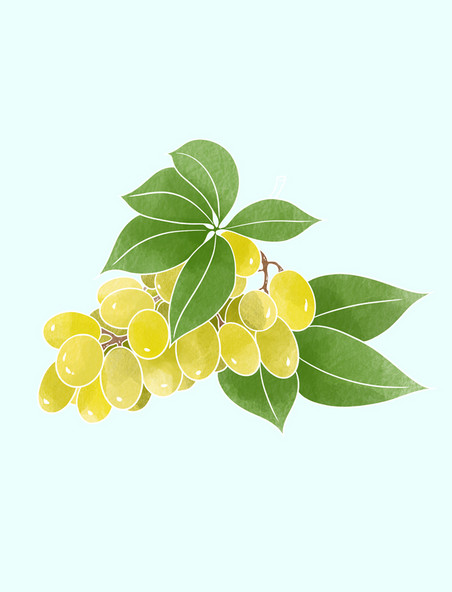 水彩葡萄3d素材_水彩葡萄海报模板