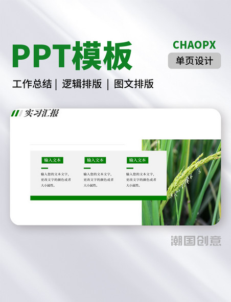  农业创新实习工作报告PPT模板