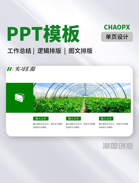 绿色农业创新实习报告PPT模板