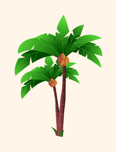 绿色的椰子树植物