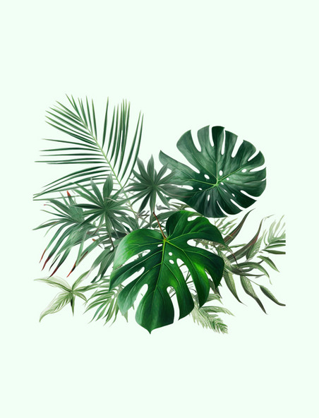 绿色植物棕榈树叶元素