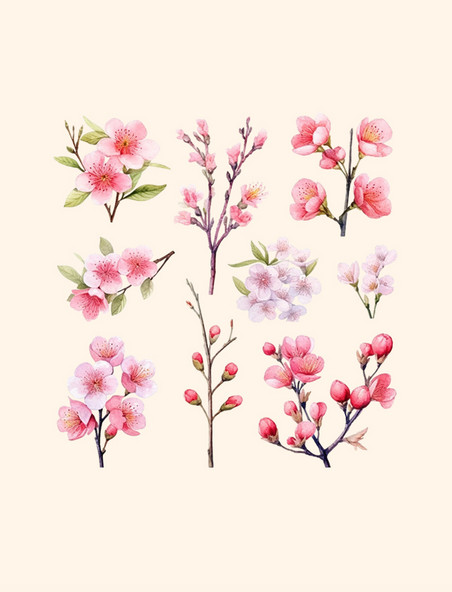 水彩画风格的樱花桃花花朵花枝植物
