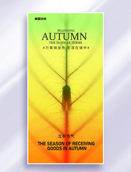 二十四节气立秋树叶纹理秋天节气海报