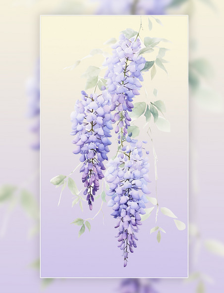 花草植物紫藤花花朵
