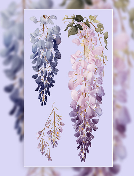 花草植物紫藤花鲜花