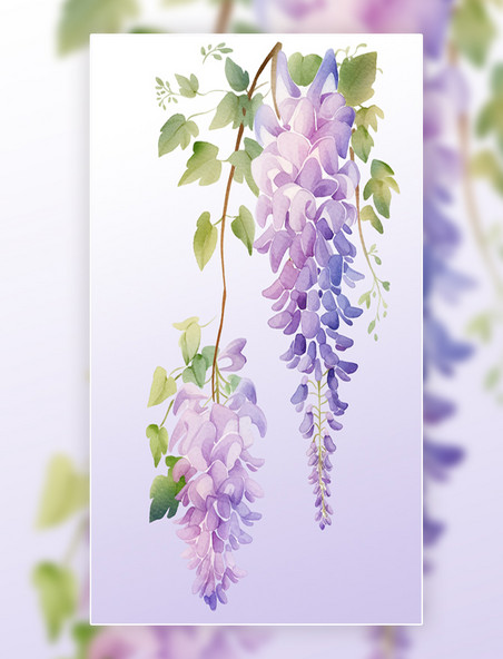紫藤花鲜花花草植物