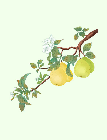 新鲜水果梨树元素