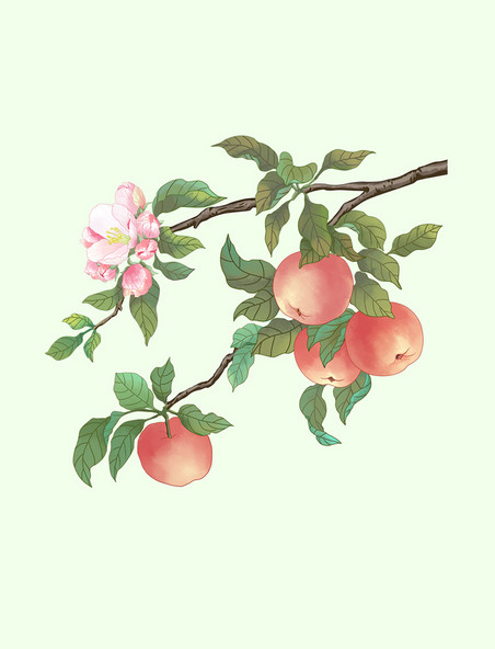 水果苹果树元素