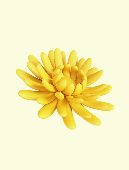 立体3D黄色菊花