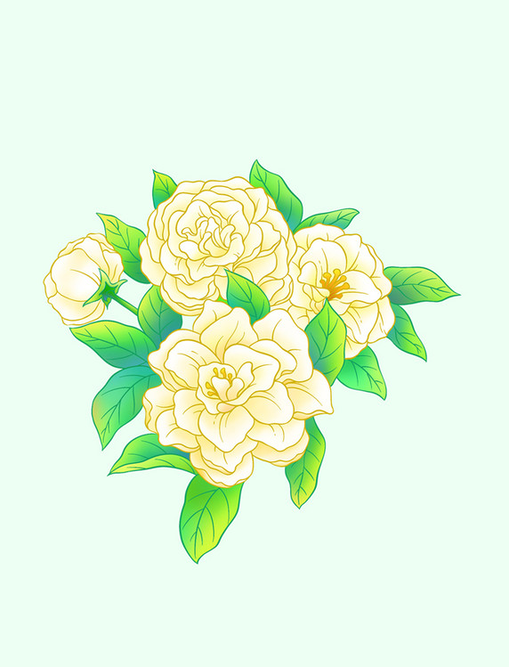 手绘国风山茶花花朵植物白色元素