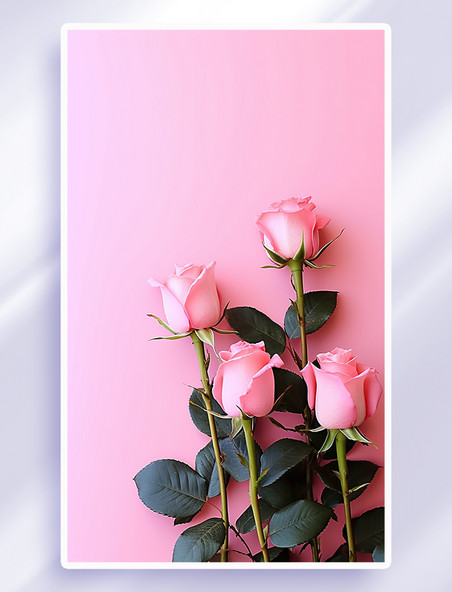 唯美小清新玫瑰花背景粉色浪漫唯美