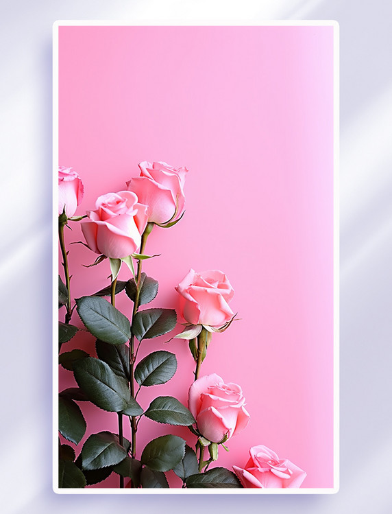小清新玫瑰花背景七夕情人节浪漫唯美