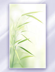 绿色文化寓意象征清新梅兰竹菊四君子之竹子背景中国风淡雅