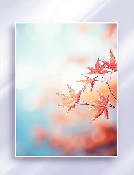 秋天美丽的红色枫叶背景秋冬秋季霜降