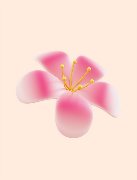 立体粉色花朵百合春天开花植物