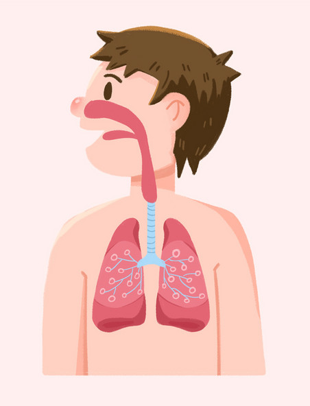 肺部呼吸道卡通肺部卡通疾病健康手绘插画图片元素