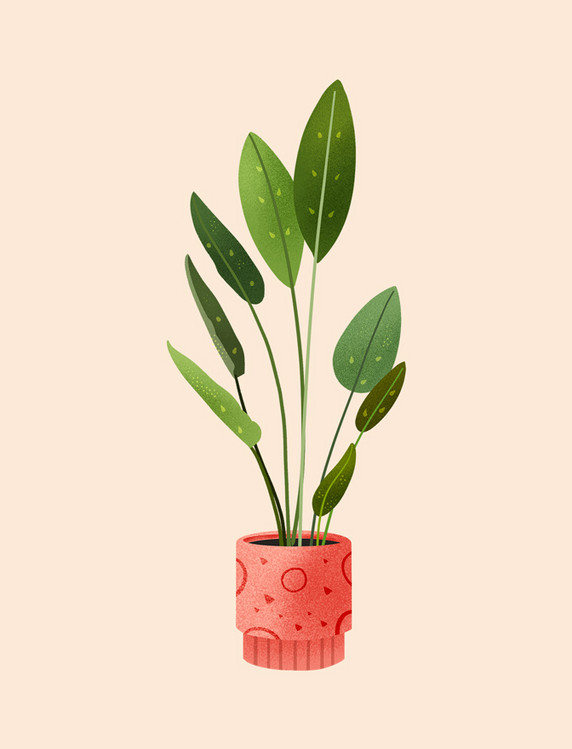 绿植简约小清新植物植物插画设计图