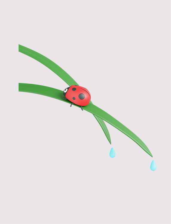 春天惊蛰节气瓢虫昆虫