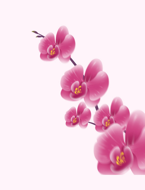 春季春天弥散风粉色花朵兰花设计元素