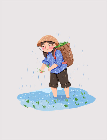 清明种植水稻农民农业春耕种植