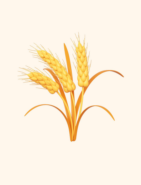 C4D立体芒种金色麦子麦穗元素