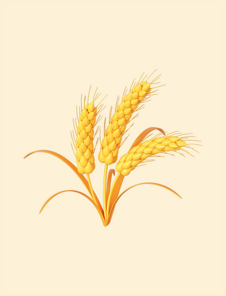 立体金色麦子小麦丰收秋收麦穗