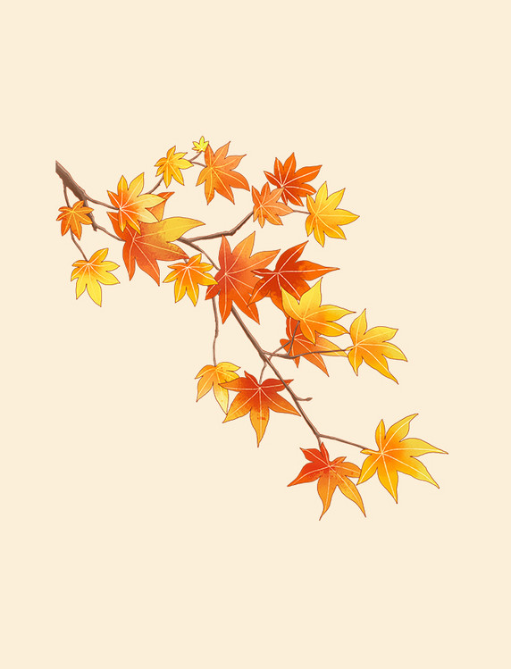 手绘秋季枫树树叶秋季黄色树叶