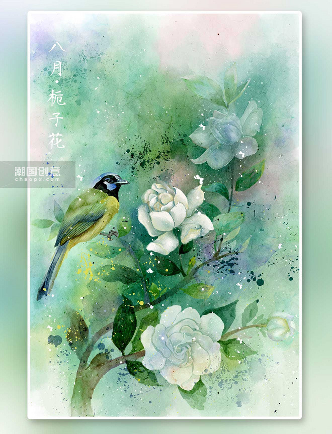 水彩花鸟画十二月花信八月栀子花工笔画图片 潮国创意