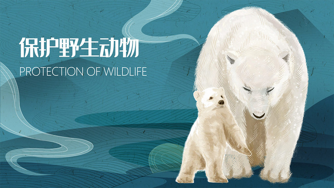 保护野生动物北极熊公益环保手绘插画