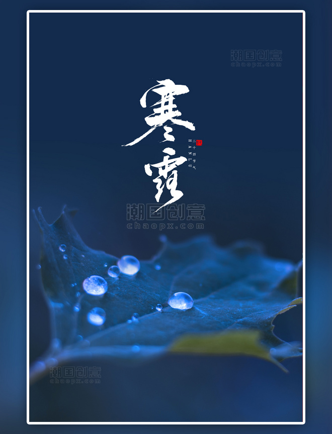 二十四节气蓝色寒露露水摄影海报