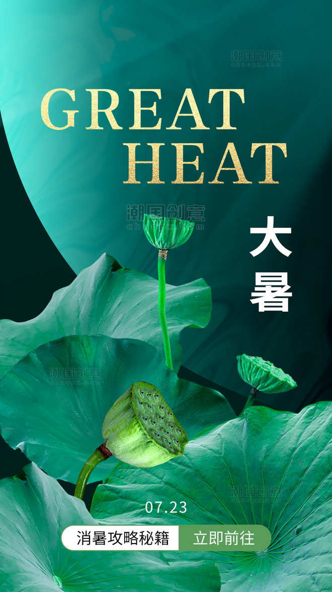 二十四节气大暑app闪屏摄影图荷叶莲蓬绿色海报