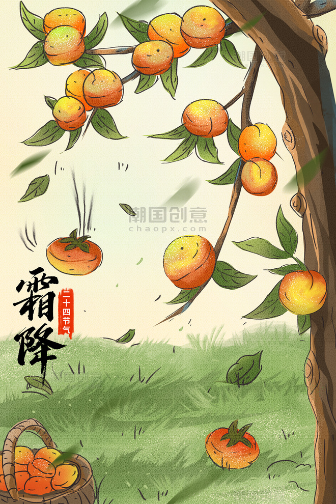 二十四节气霜降插画柿子树配图