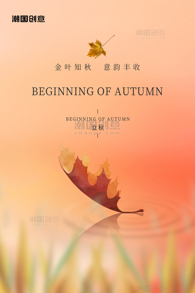 立秋传统二十四节气落叶枫叶红色简约海报