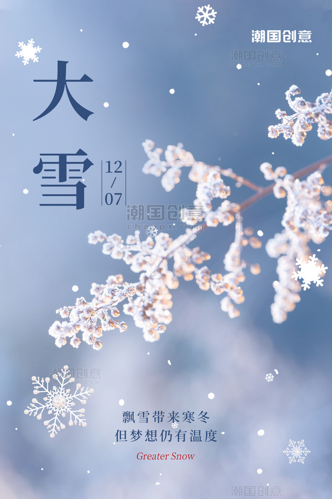 大雪节气祝福实景摄影图雪花蓝色简约海报