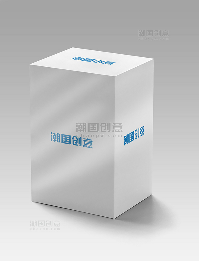 高端盒子展示简洁竖版包装盒展示样机