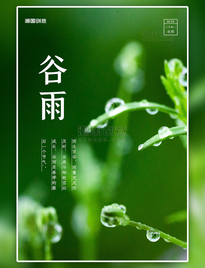 潮国原创二十四节气谷雨节气绿色大气海报